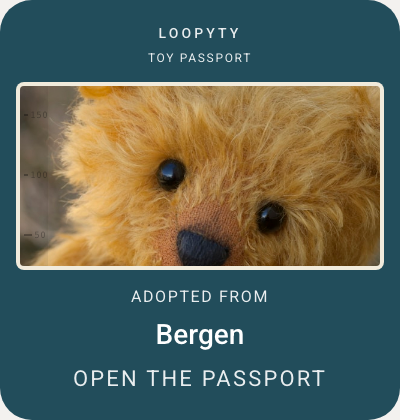 Screenshot: the toy passport of a teddy bear, adopted from Bergen